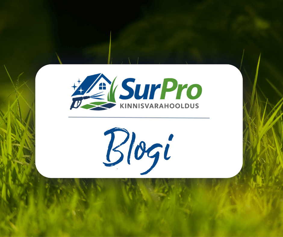 Blogi kinnisvara hooldus saaremaa