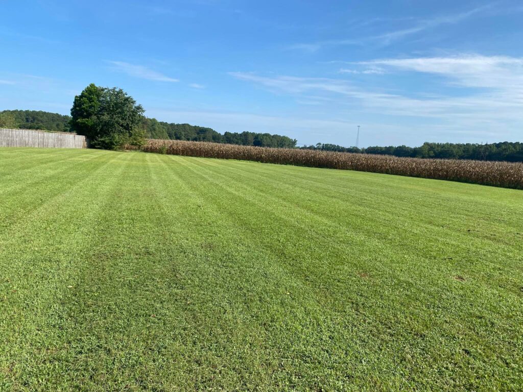 Niitmisteenus saaremaal, koduhoovid ilusaks muru niitmine saaremaa niitmisteenus muruniitmine muruhooldus
