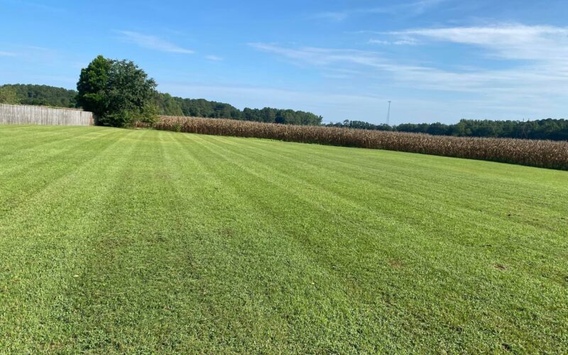 Niitmisteenus saaremaal, koduhoovid ilusaks muru niitmine saaremaa niitmisteenus muruniitmine muruhooldus