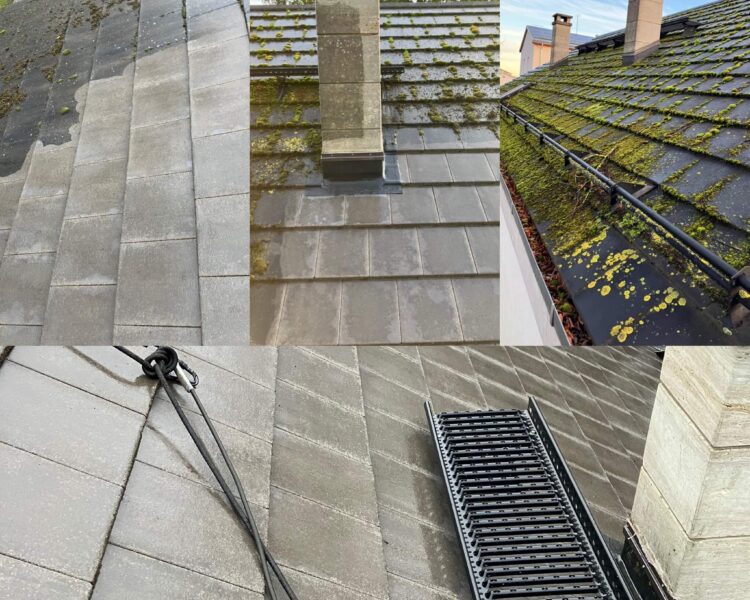 Carousel with Captions Katusepesu