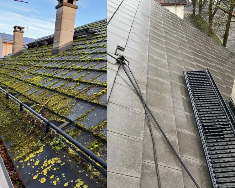 Katusepesu ja samblaeemaldus Pärnu Katusepesu teenus üle Eesti. Sambla ja vetikate eemaldamine