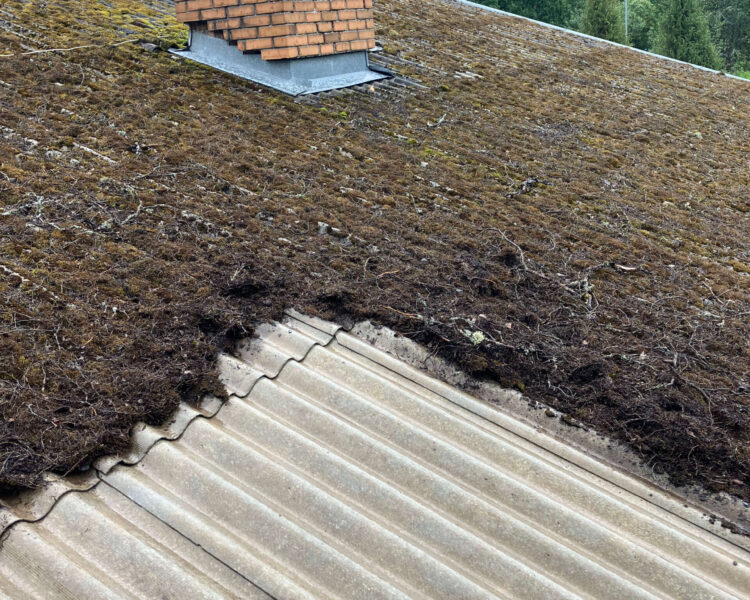 Carousel with Captions Carousel with Captions