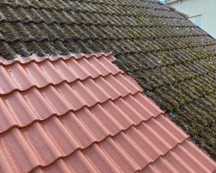 Carousel with Captions Katuste pesu samblast ja mustusest