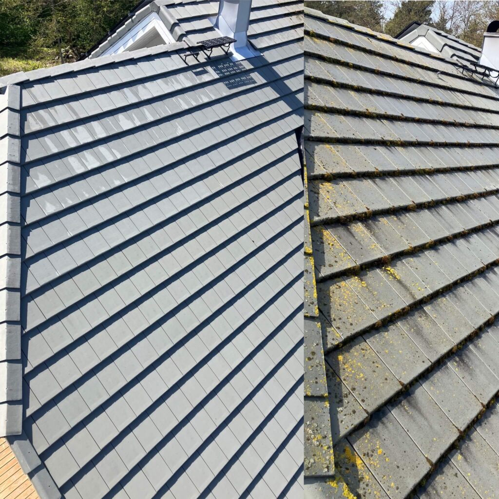 Sambla eemaldamine ja katusepesu survepesu teenus, Kinnisvara eripuhastustööd