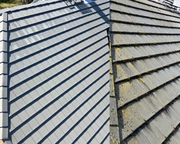 Sambla eemaldamine ja katusepesu