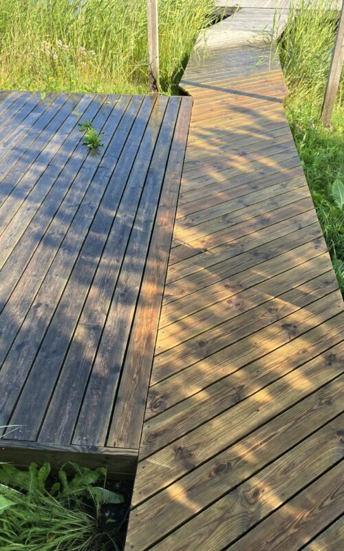 Terrassilaua survepesu